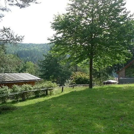 In Mit Terrasse, Grill Walscheid