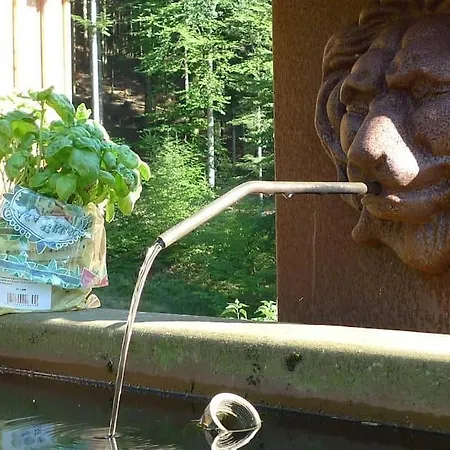 In Mit Terrasse, Grill Vakantiehuis Walscheid